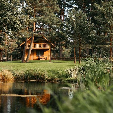 Villa Vejciems Liepene Exterior foto