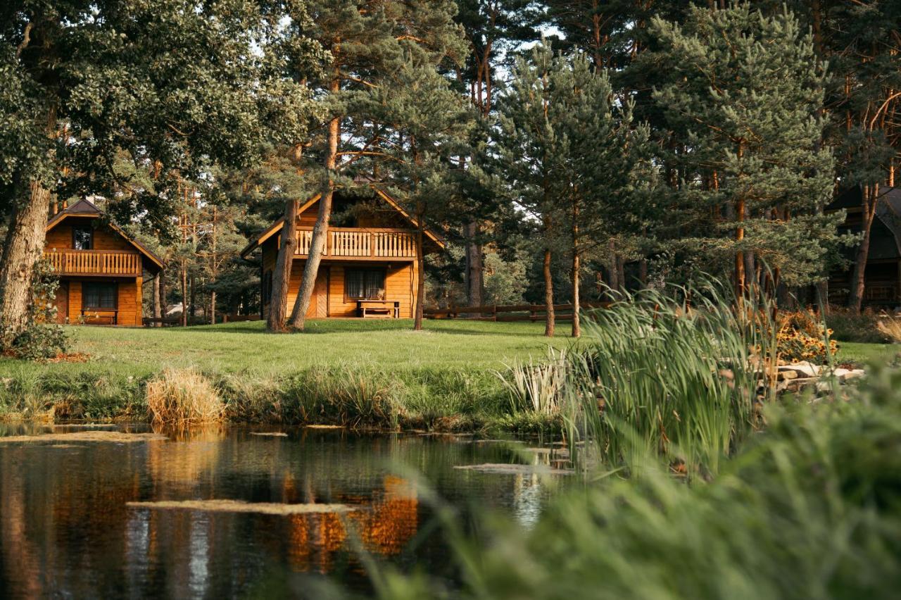 Villa Vejciems Liepene Exterior foto
