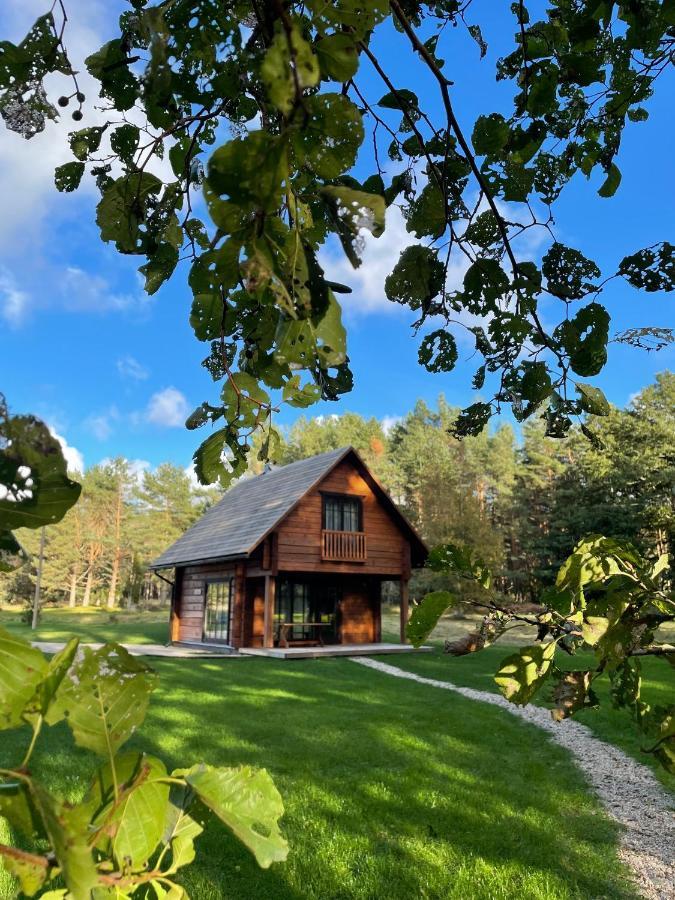 Villa Vejciems Liepene Exterior foto